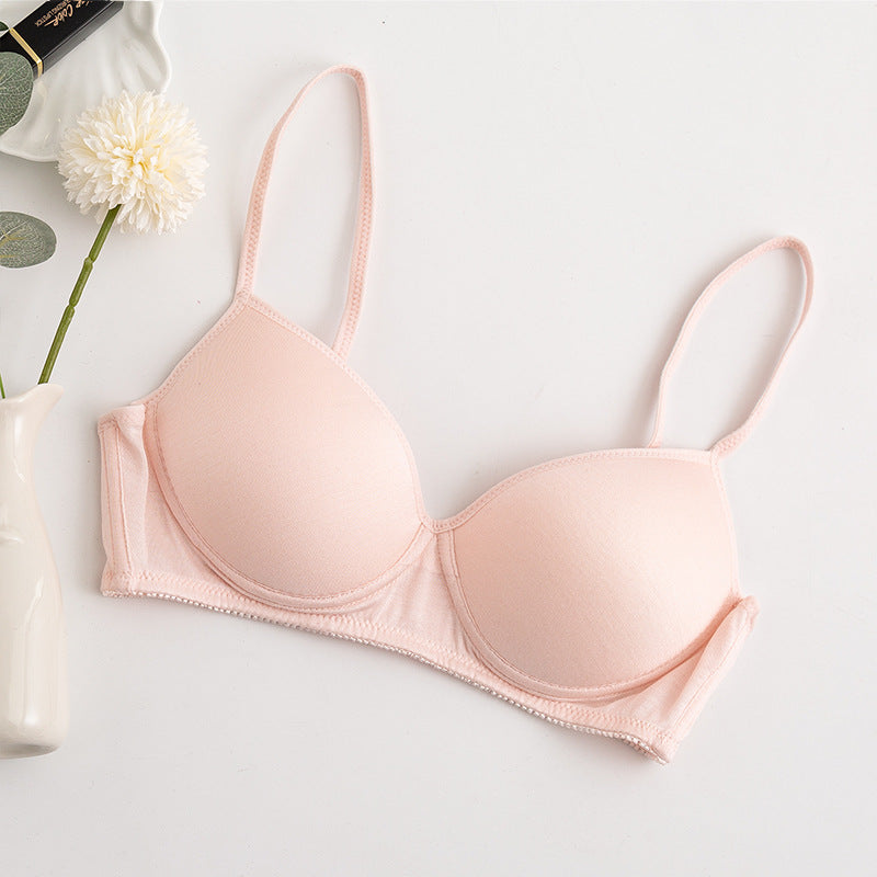 Morandi Color Light Luxury Silk Bra Women's Thin Mulberry Silk No Steel Ring Girls Bra Underwear