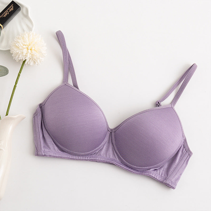 Morandi Color Light Luxury Silk Bra Women's Thin Mulberry Silk No Steel Ring Girls Bra Underwear