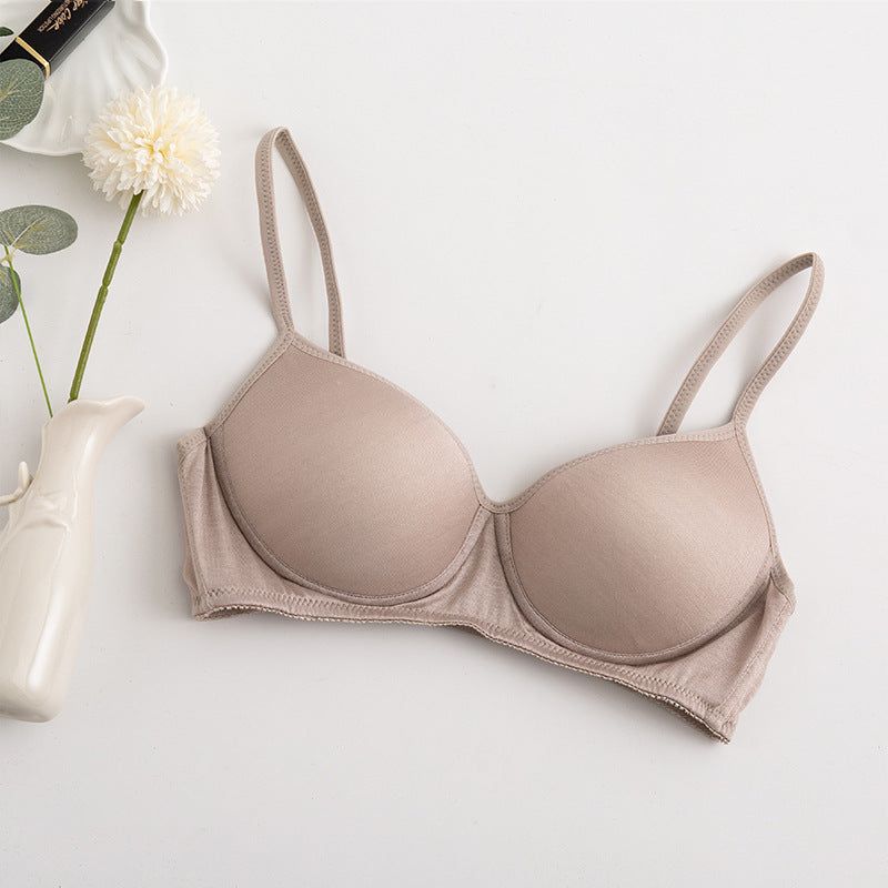 Morandi Color Light Luxury Silk Bra Women's Thin Mulberry Silk No Steel Ring Girls Bra Underwear