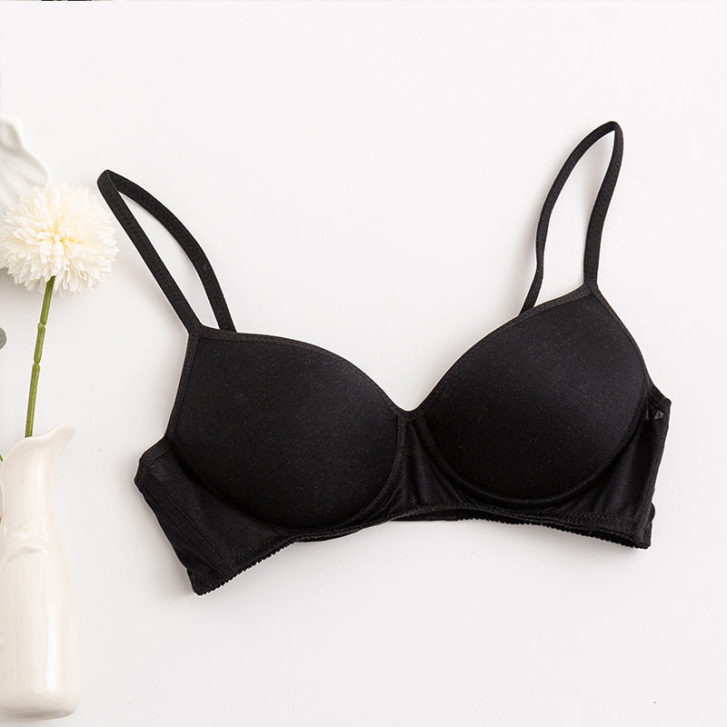 Morandi Color Light Luxury Silk Bra Women's Thin Mulberry Silk No Steel Ring Girls Bra Underwear