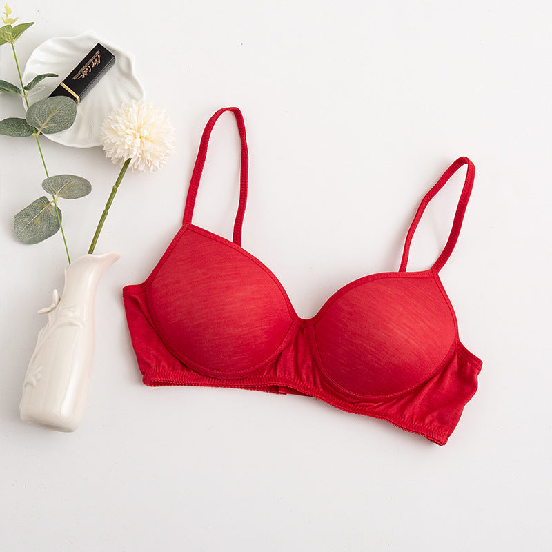 Morandi Color Light Luxury Silk Bra Women's Thin Mulberry Silk No Steel Ring Girls Bra Underwear