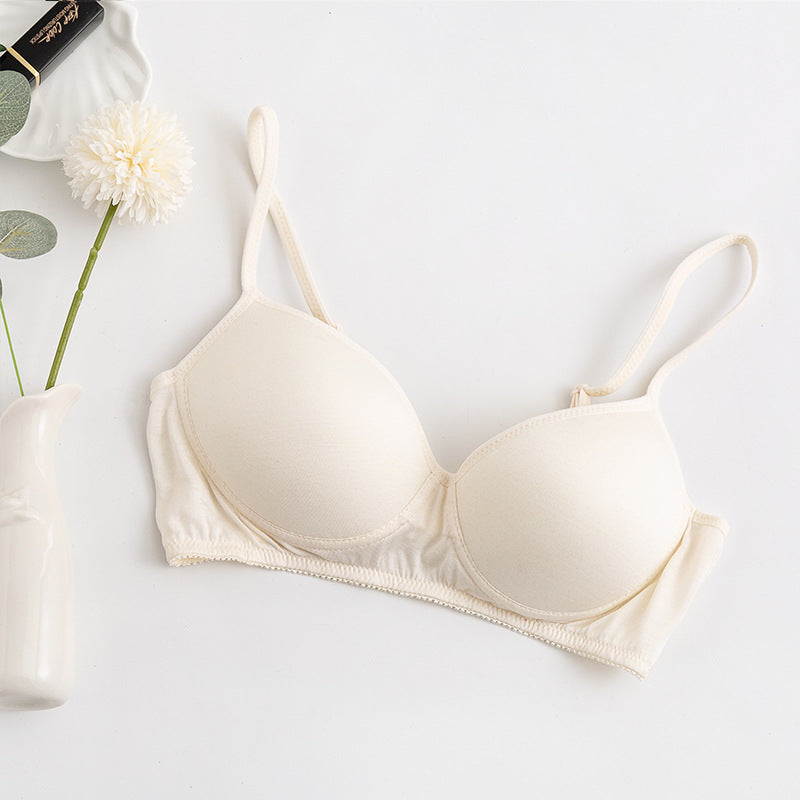 Morandi Color Light Luxury Silk Bra Women's Thin Mulberry Silk No Steel Ring Girls Bra Underwear