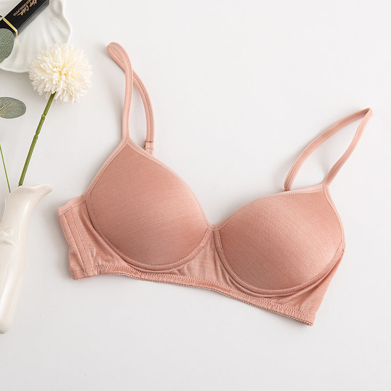 Morandi Color Light Luxury Silk Bra Women's Thin Mulberry Silk No Steel Ring Girls Bra Underwear