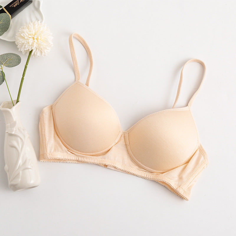 Morandi Color Light Luxury Silk Bra Women's Thin Mulberry Silk No Steel Ring Girls Bra Underwear