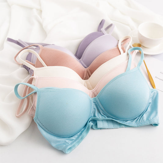Morandi Color Light Luxury Silk Bra Women's Thin Mulberry Silk No Steel Ring Girls Bra Underwear