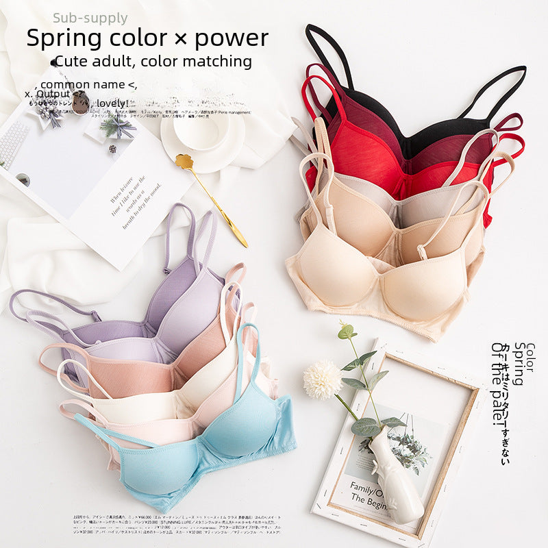Morandi Color Light Luxury Silk Bra Women's Thin Mulberry Silk No Steel Ring Girls Bra Underwear