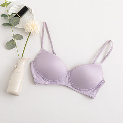 Morandi Color Light Luxury Silk Bra Women's Thin Mulberry Silk No Steel Ring Girls Bra Underwear